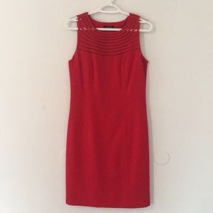 Rafaella Shift Dress with Mesh Cut-out Neckline